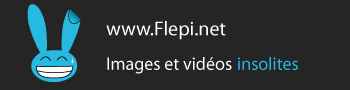 flepi-350-90