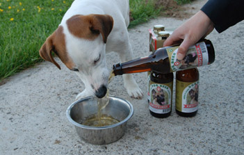 Bière pour chien